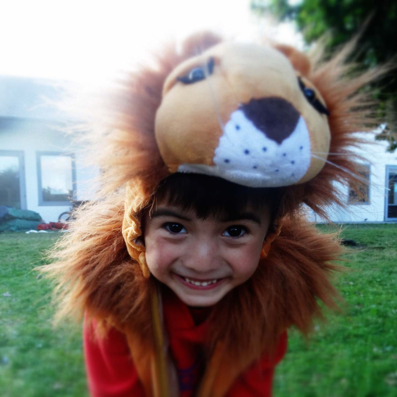 Een schattige foto om het goed te maken